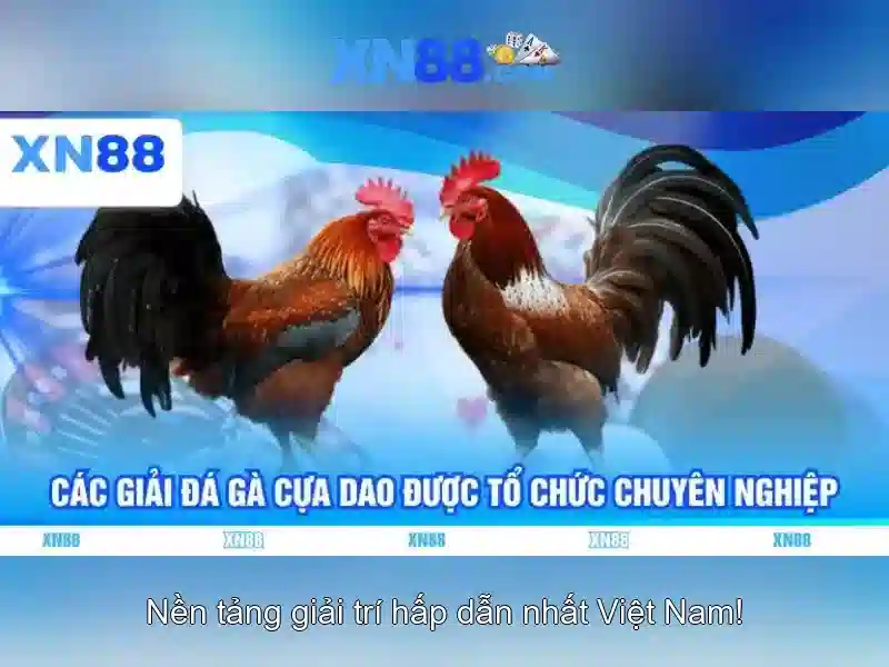 Phân tích sự khác biệt của xn88 so với thị trường quảng cáo giả mạo